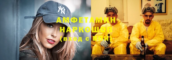 индика Нефтегорск