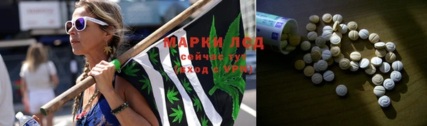 хмурый Нея