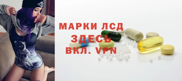 хмурый Нея