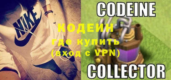 хмурый Нея