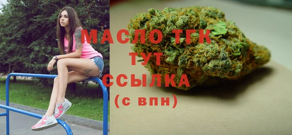 индика Нефтегорск