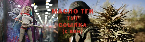 индика Нефтегорск