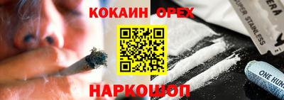 прущие грибы Гатчина