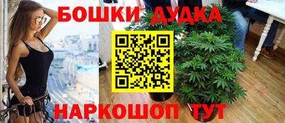 прущие грибы Гатчина