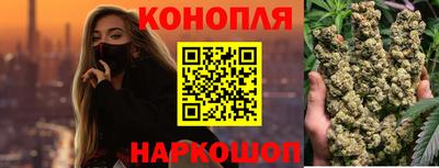 прущие грибы Гатчина