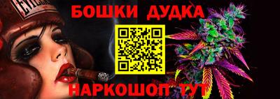 прущие грибы Гатчина