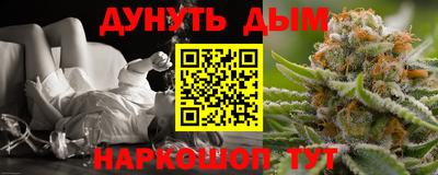 прущие грибы Гатчина