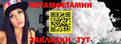 прущие грибы Гатчина