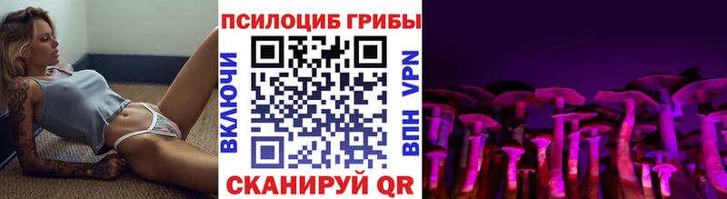 Псилоцибиновые грибы Psilocybine cubensis  omg сайт  Кулебаки 