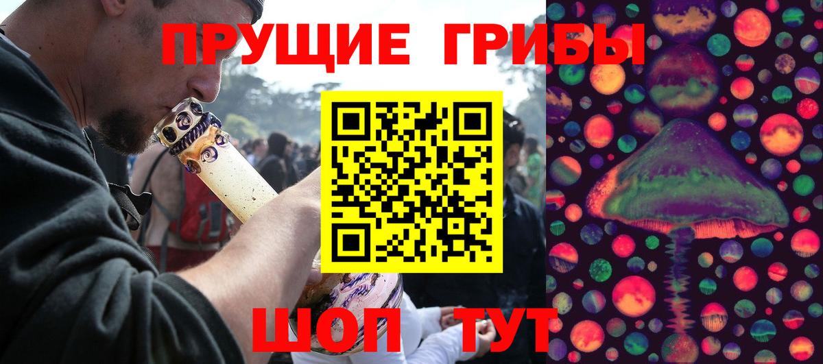 Галлюциногенные грибы прущие грибы  Вход с VPN  Кулебаки 